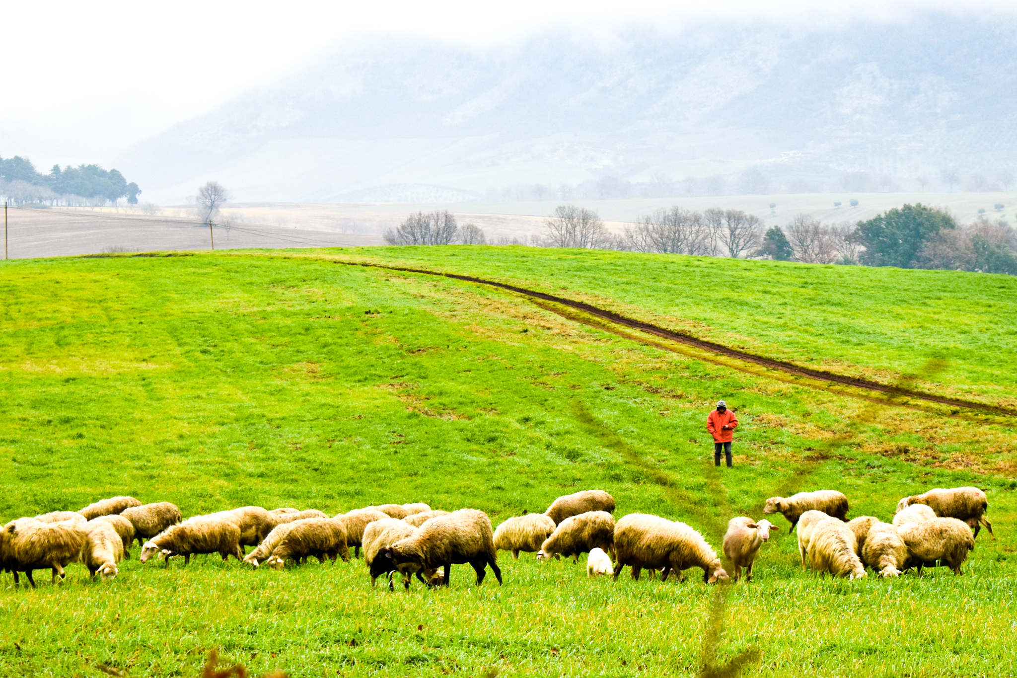 Vellteri-a-scalo-sermoneta-via-francigena-del-sud-1-tappa-2