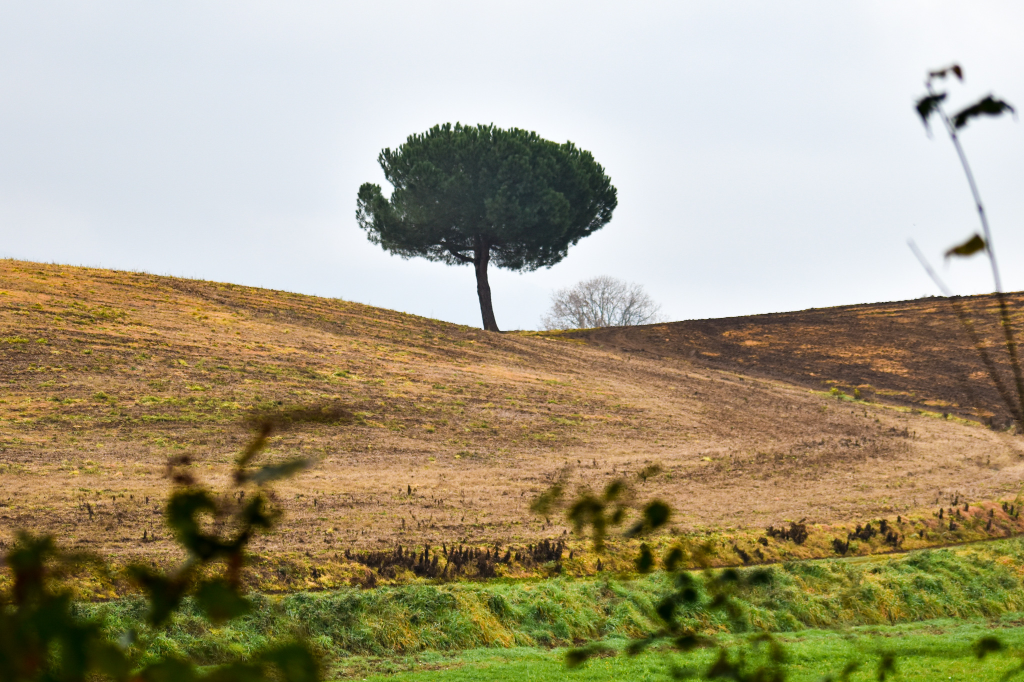 Vellteri-a-scalo-sermoneta-via-francigena-del-sud-tappa-2