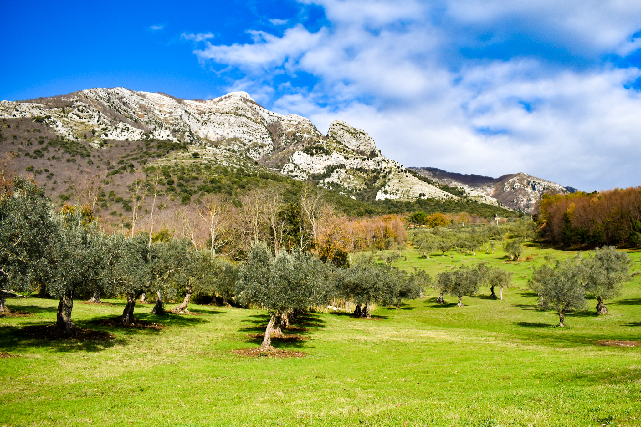 alife-telese-terme-3-via-francigenza-del-sud-tappa-7